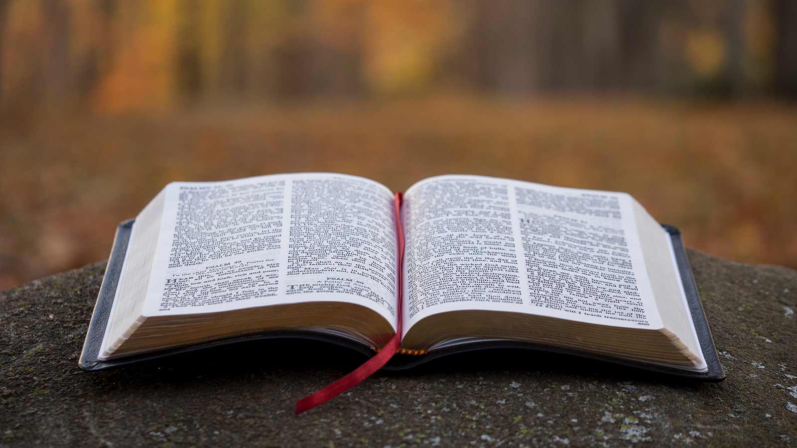 Sample Sermon